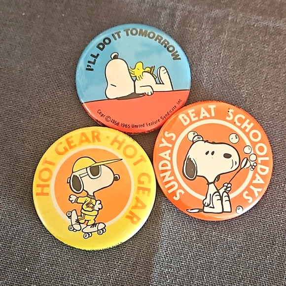 Peanuts Jewelry - Lot of 3 Vintage Snoopy Woodstock Peanuts buttons pins 1980s